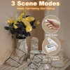 10 Pack Fairy Lights Battery Operated - 3 Speed Modes,