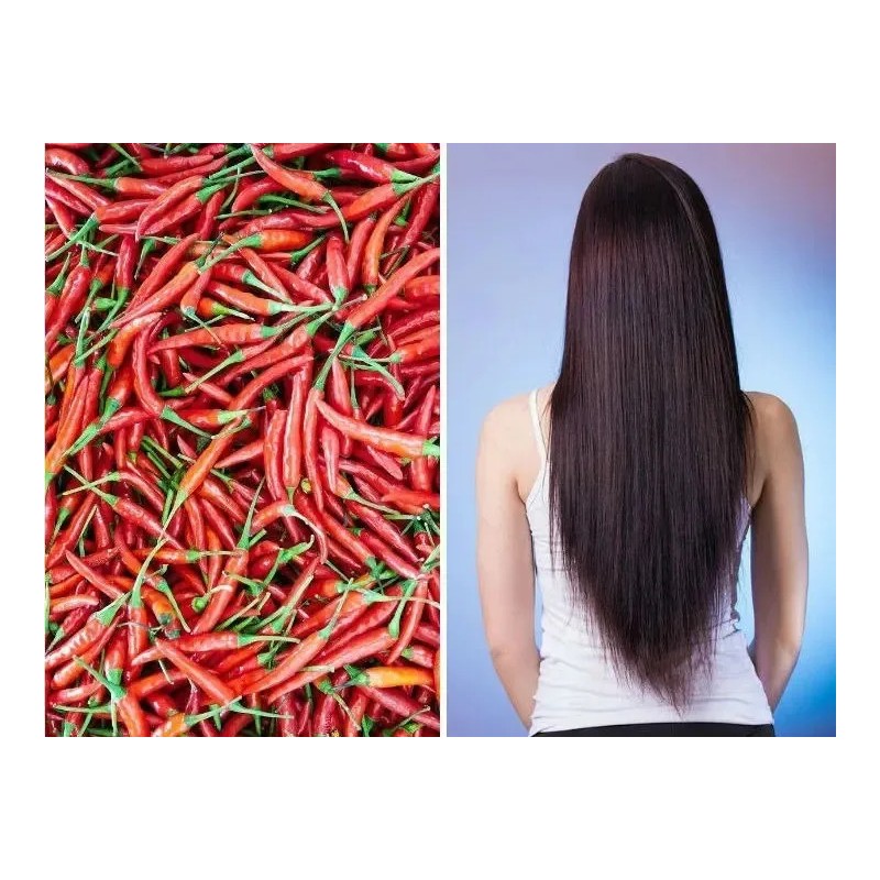 2 Shampoo Chile Y Romero Anti Caída Y Crecimiento Cabello