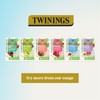 Twinings Soulful Blends Reset Inspired by Ayurveda -Juicy Peach &