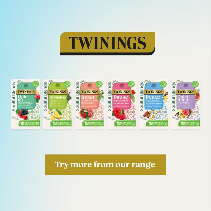 Twinings Soulful Blends Reset Inspired by Ayurveda -Juicy Peach &