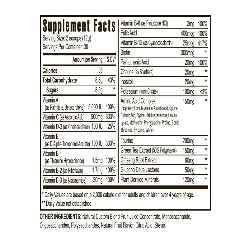 Youngevity Rebound FX Citrus Punch Sports Drink 30ct packets- Youngevity