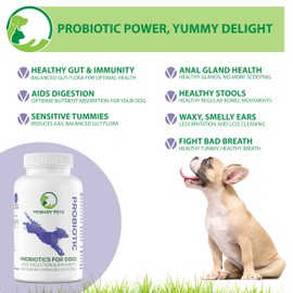 Primary Pets Premium Pet Supplies – Probiotics for Dogs with Prebiotics, 120 Powder Capsules, Supports Gut Health, Digestion and Immunity, Dog Probiotic Supplements for Gut Health