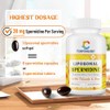 Suplemento Espermidina Liposomal Alta Absorción Más Potente Que 3hcl