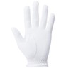 FootJoy Golf Gloves 21 Nanorock Neo, white
