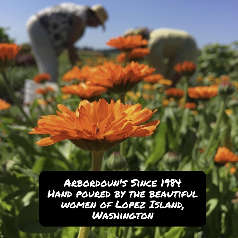 "Calendula Cream 4oz Amber Jar Contains Comfrey, Oregon Grape, Aloe,