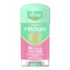 Mitchum Clear Gel Powder Fresh, 330 ml