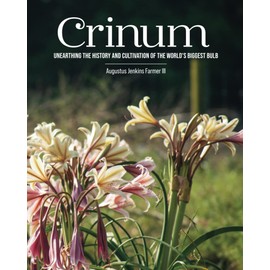 Crinum: Unearthing the History and Cultivation of the The World’s Biggest Bulb