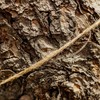 Creative Deco 164 Feet Jute Twine Rope String Natural Brown