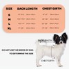 NeoAlly Dog Back Brace for Dogs Arthritis, IVDD, Spinal Surgical