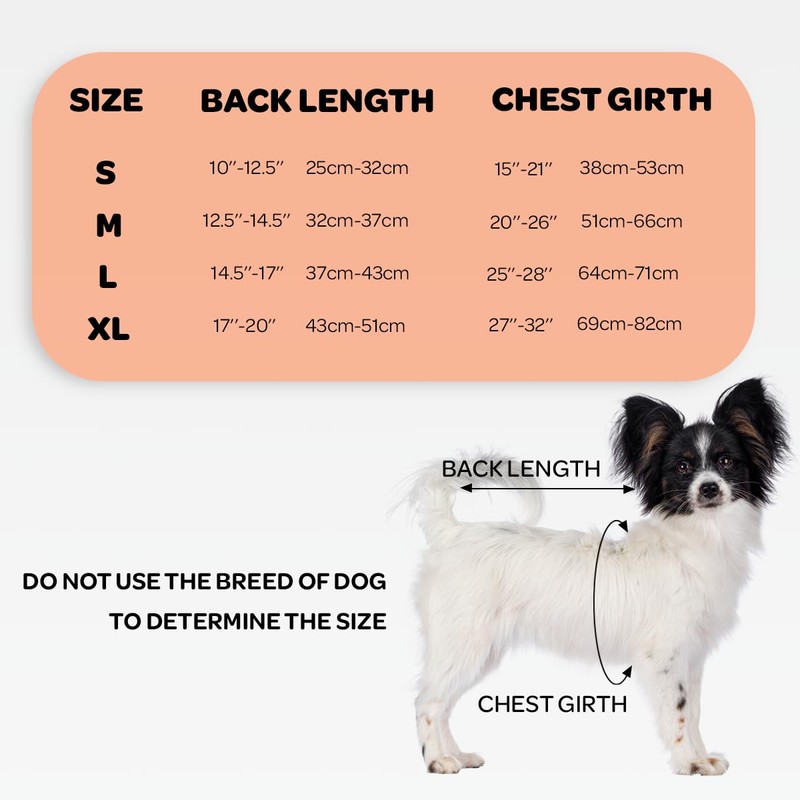 NeoAlly Dog Back Brace for Dogs Arthritis, IVDD, Spinal Surgical