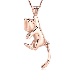 QGJNSGC Pet Cremation Jewelry for Ashes Memorial Ash Jewelry Keepsake Cat Urn Necklace for Ashes Pendants Necklace