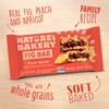 Nature’s Bakery Whole Wheat Fig Bars, Peach Apricot, Real Fruit,