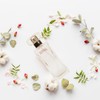 Donna Jean Women's Perfume by Murcielago Fragrances, 1.7 fl oz