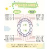 Samcos Baby Teeth Case, Wooden Baby Teeth Case, Japanese Version,