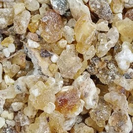 Aromatics International Pure Organic Frankincense Frereana Essential Oil 15ml | Organic Essential Oils