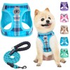 BEAUTYZOO Small Dog Harness and Leash Set,Step in No Choke
