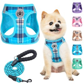 BEAUTYZOO Small Dog Harness and Leash Set,Step in No Choke No Pull Soft Mesh Dog Harnesses Reflective for Extra-Small Medium Puppy Dogs and Cats, Plaid Dog Vest Harness for XS S Pets, Blue XS