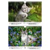 Katzenzauber DIN A4 Calendar for 2022 Cats and Cats Seelenzauber