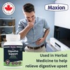 MAXION Maxion Digestive Support, 60 Capsules with Ginger, Peppermint and