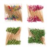 CLSSLVVBN 100pack/lot Durable Toothpicks for Appetizers and Fruit Skewers Wide