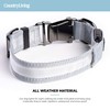 Country Living by Silver Paw Light Up Dog Collars, LED