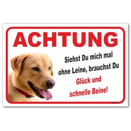 AdriLeo Sign - Caution Blonde Labrador Retriever - Without Lead - (15 x 20 cm) / Warning Dog Guard Dog Robust Durable UV-Resistant Weatherproof Warning Sign (Beige/Yellow)