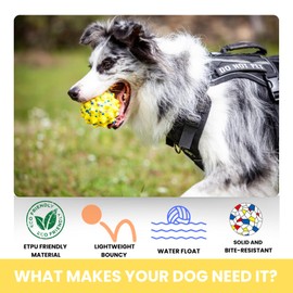 Karpic Popaws Durable Interactive Dog Toys for Aggressive Chewers,Puppy Teething Toys,Floating Fetch Balls,Bouncing Chew Balls,Tennis Balls for Dogs (2 Balls)