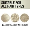 Schwarzkopf Keratin Color Permanent Hair Color, 10.1 Extra Light Ash