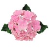JEM Hydrangea Fondant Cutters, for Cake Decorating, Set of 4