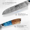 hecef Damascus Chef Knife, High Carbon Stainless Steel Ultra Sharp