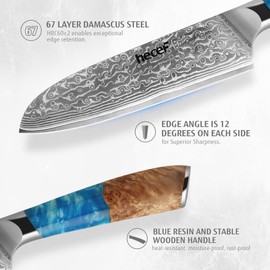 hecef Damascus Chef Knife, High Carbon Stainless Steel Ultra Sharp Janpanese Kitchen Knives with Resin Handle for Fruit & Vegetable Cutting (7 inch)