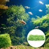 Suction Cups with Zip Ties 30 Pieces Small Aquarium Suction