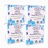 Dental Aesthetics Flexible Denture Cleaner FDC ~ 3 Months Supply