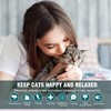 Cat Pheromones Calming Diffuser Refill 6 Pack Enhanced Pheromone Refills