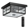 VIANIS Motion Sensor Outdoor Ceiling Light with Remote Control, 2-Light