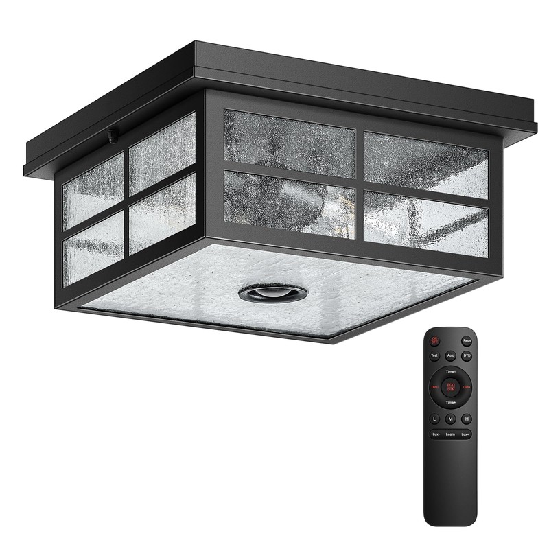 VIANIS Motion Sensor Outdoor Ceiling Light with Remote Control, 2-Light