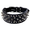 BTDCFY PU Leather Adjustable Spiked Studded Dog Collar 2"