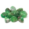 Chrysoprase Tumble Stone (20-25mm) 10 Pack