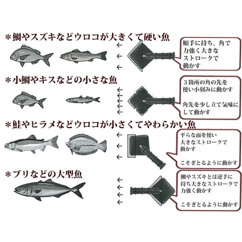 Katsurika Shoji PTYGRACE Scale Remover, Scale Remover, Scale, Small, Made