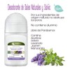 Desodorante De Sales Naturales Y Salvia Notas Femeninas Blen