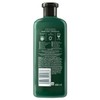 Herbal Essences Potent Aloe & Avocado Oil 400ml Conditioner