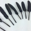 Sowder Black Goose Feather for Craft Wedding Home Decorations Pack