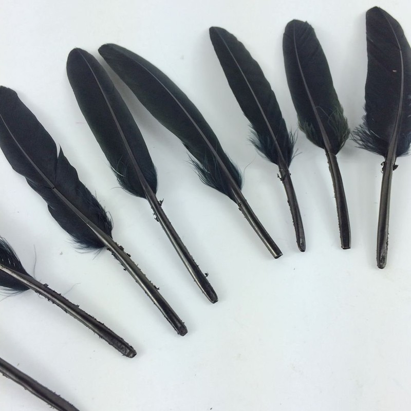 Sowder Black Goose Feather for Craft Wedding Home Decorations Pack