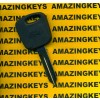 Amazing Keys Ford Original OEM LOGO PATS Transponder Chip Key