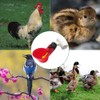 YSIL Chicken Waterer Cups Automatic Feeder 6 Pack with 1/8"