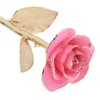 24K Gold Rose Dipped Golden Leaves Girlfriend Wife Valentine's Day