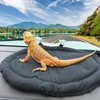 Bearded Dragon Bed, Black Reptile Sleeping Hammock Cushion Lizard Couch