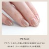 Gel Nail Color (170 Korat) | Color Gel, Single Item,
