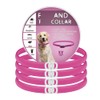 4 Pieza Collar con Hebilla, 65CM/26.6in (Rosa)