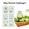 TerraPick Korean Cabbage Juice – Gut Health & Digestion Support,